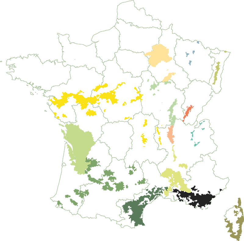Carte des régions viticoles de France du restaurant Un Des Sens à Serris